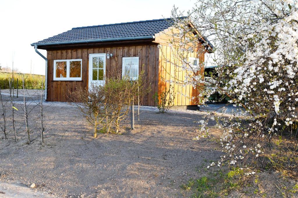 Vogelhaus Gobbin Daire Lancken-Granitz Dış mekan fotoğraf